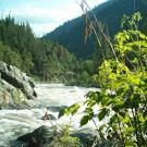 Scott river