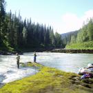 The fishing crew at work sampling