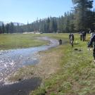 Tuolumne Meadows