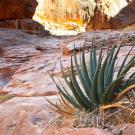 Upper Canyon 