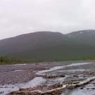 cleve creek