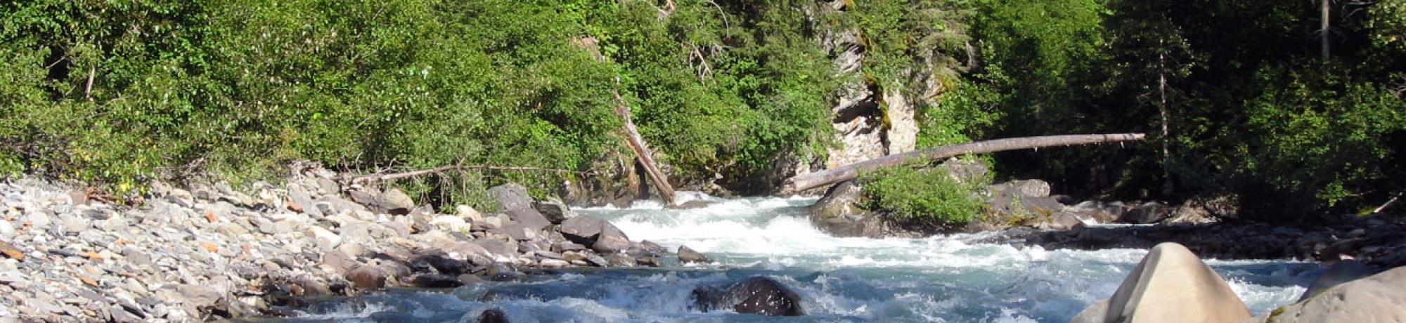 A large tributary to the Skeena River