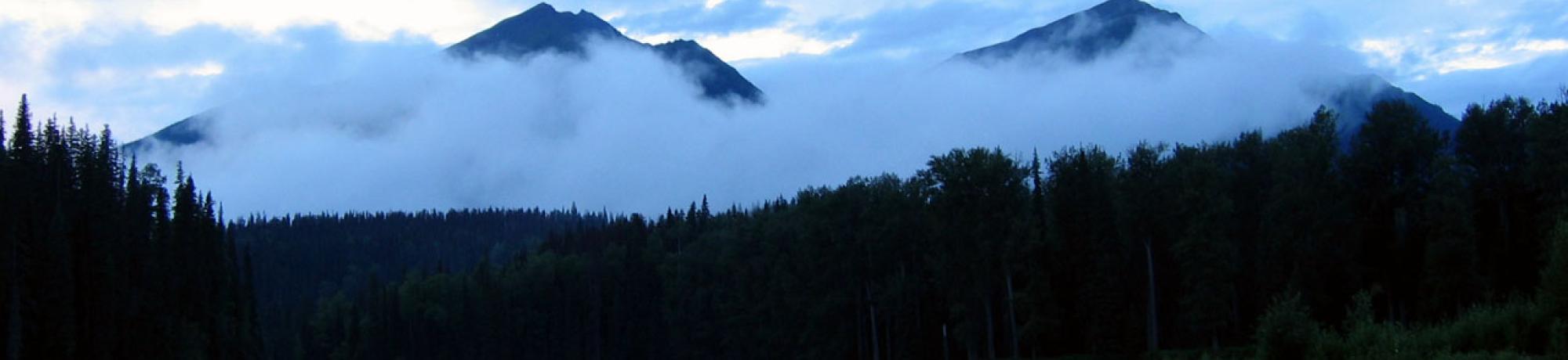 A misty morning 