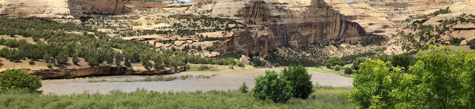 An overlook of the river and floodplain at Harding Hole (Photo_ Lindsay Kammeier)