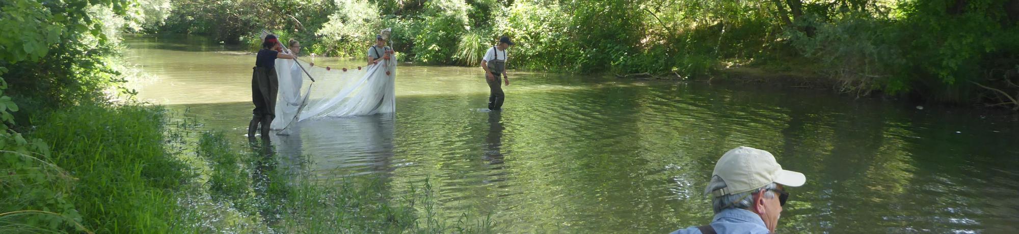 Putah Creek
