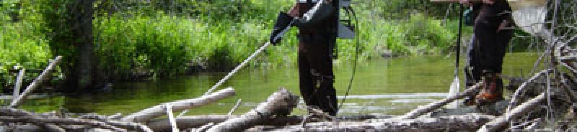 Scott River Electro-Fishing