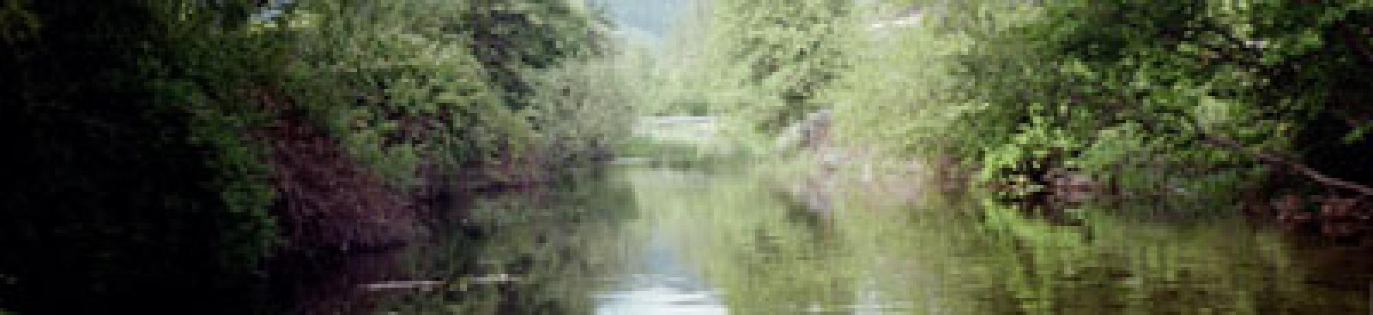 Scott River Sugar Creek