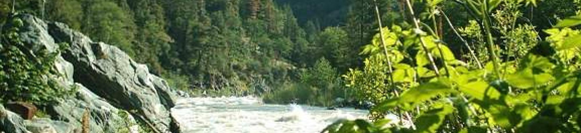 Scott river